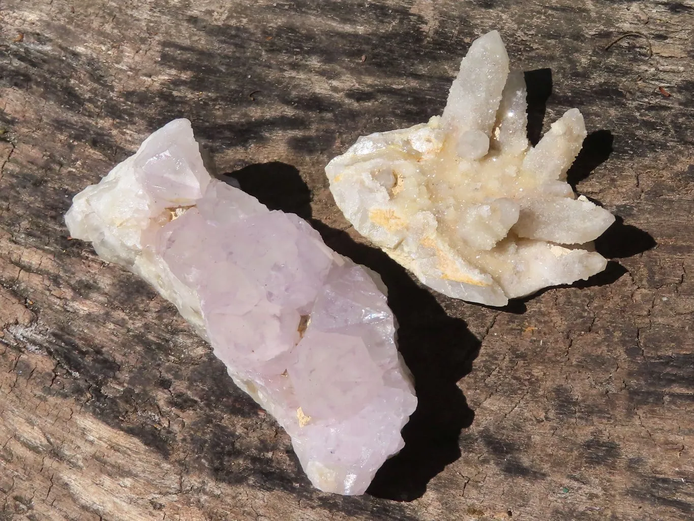 Natural Small Mixed Spirit Quartz Clusters x 24 From Boekenhouthoek, South Africa