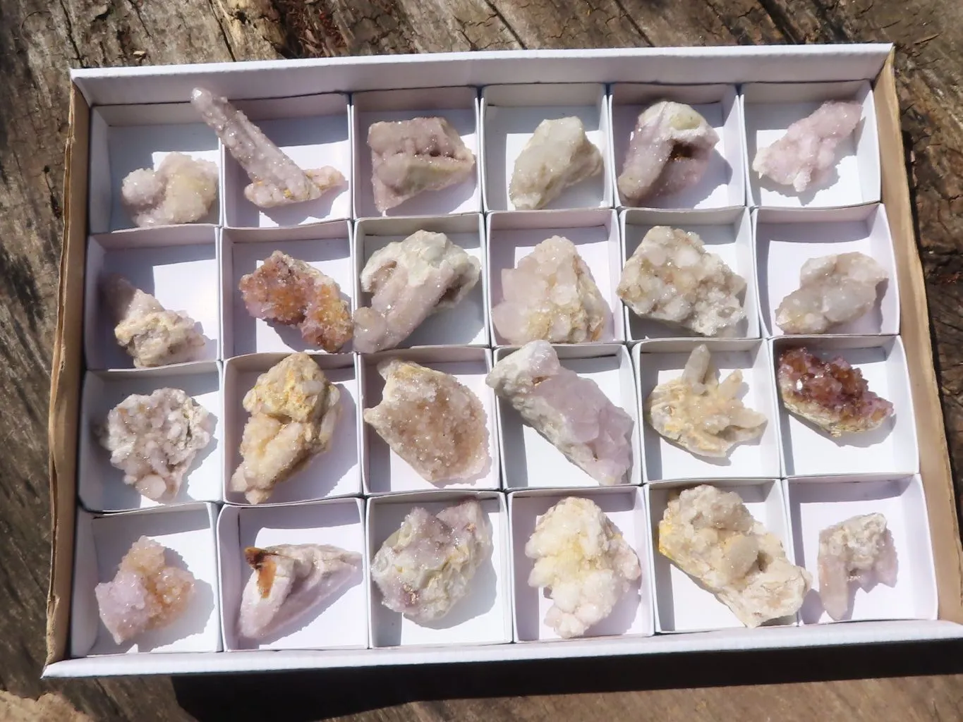 Natural Small Mixed Spirit Quartz Clusters x 24 From Boekenhouthoek, South Africa