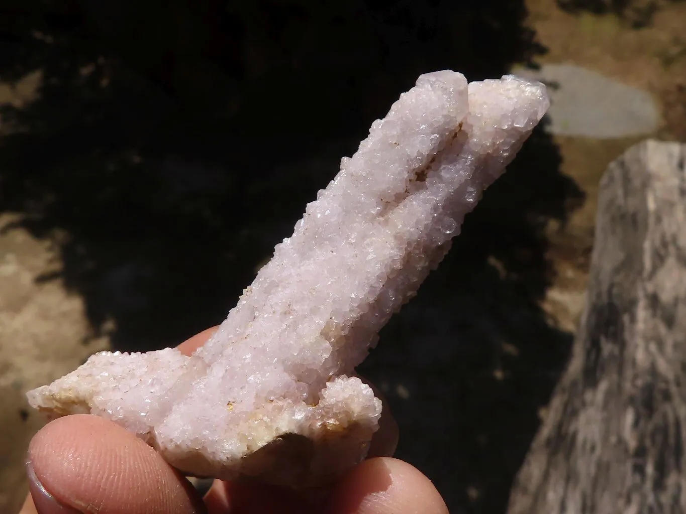 Natural Small Mixed Spirit Quartz Clusters x 24 From Boekenhouthoek, South Africa