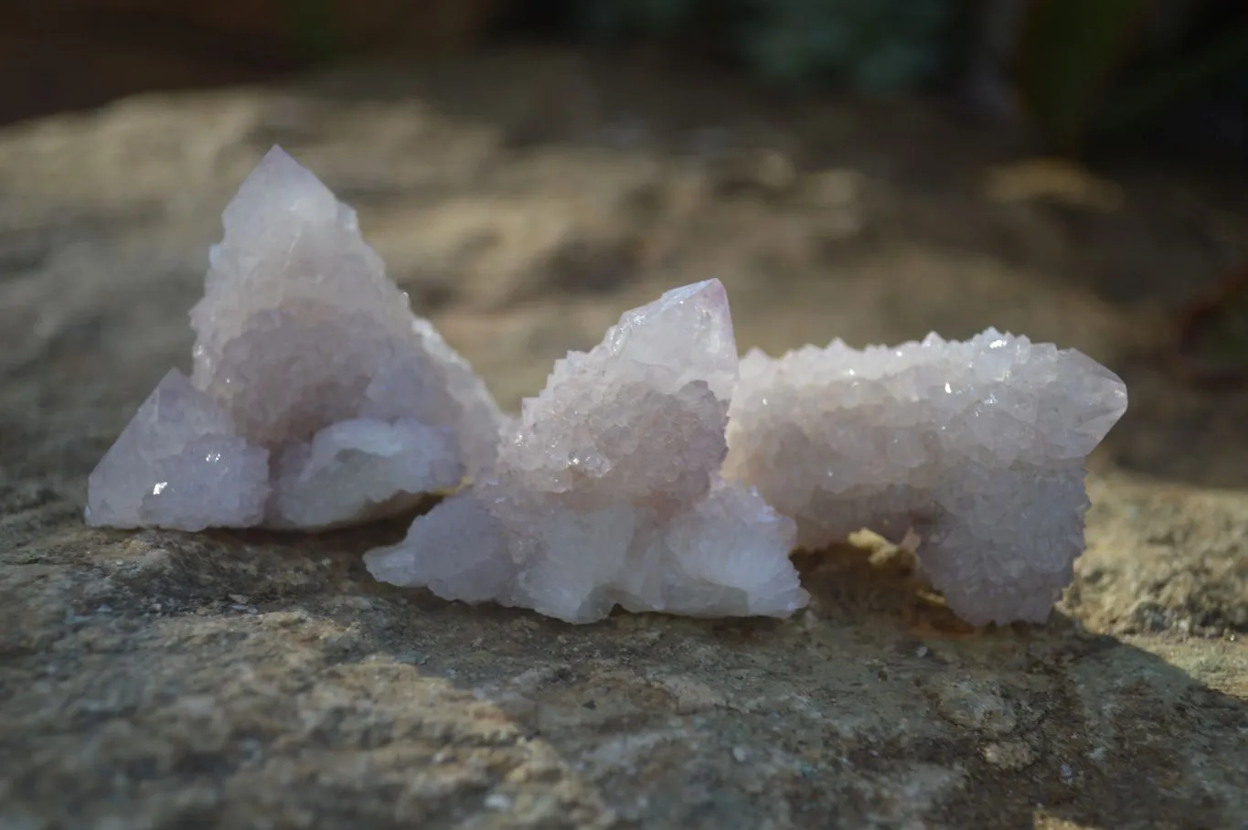 Natural Small Pale Lilac Spirit Quartz Clusters x 35 From Boekenhouthoek, South Africa