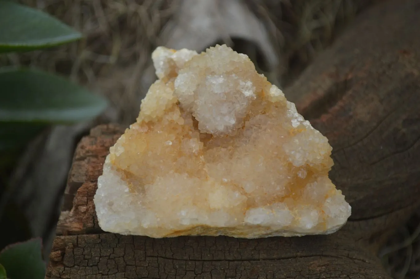 Natural Small Spirit Quartz Clusters x 12 From Boekenhouthoek, South Africa