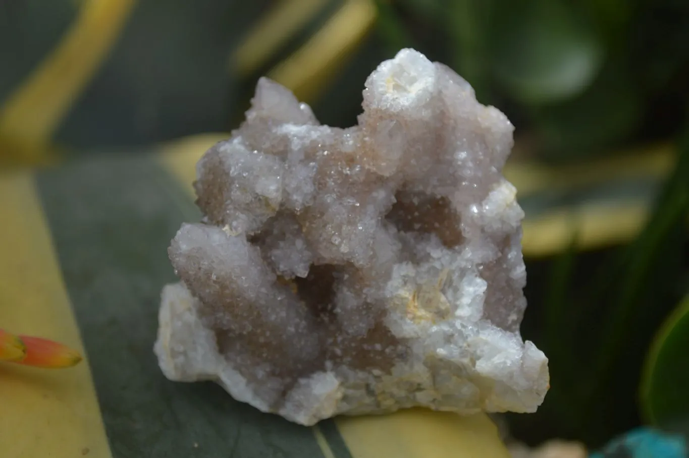 Natural Small Spirit Quartz Clusters x 12 From Boekenhouthoek, South Africa