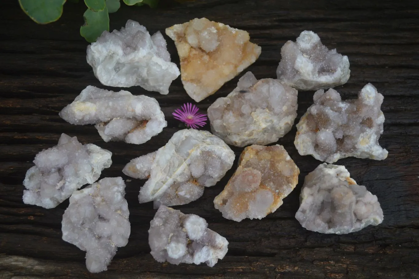 Natural Small Spirit Quartz Clusters x 12 From Boekenhouthoek, South Africa