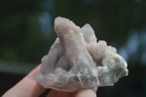 Natural Small Spirit Quartz Clusters x 12 From Boekenhouthoek, South Africa