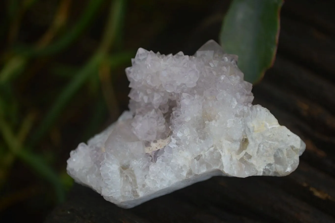 Natural Small Spirit Quartz Clusters x 12 From Boekenhouthoek, South Africa
