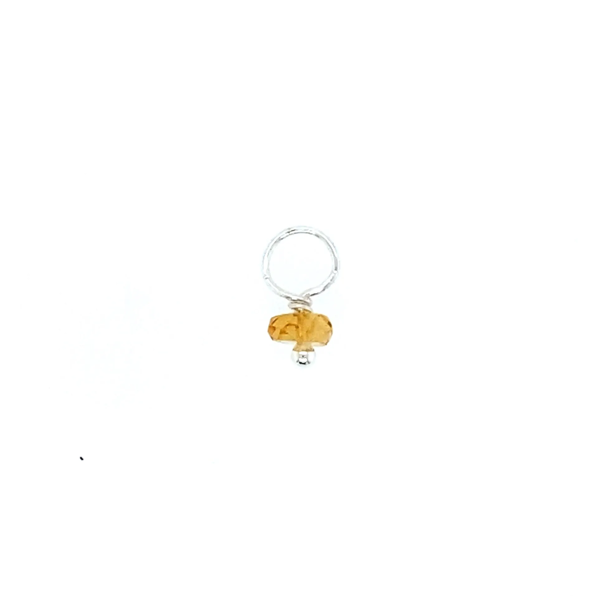 November Birthstone Charms