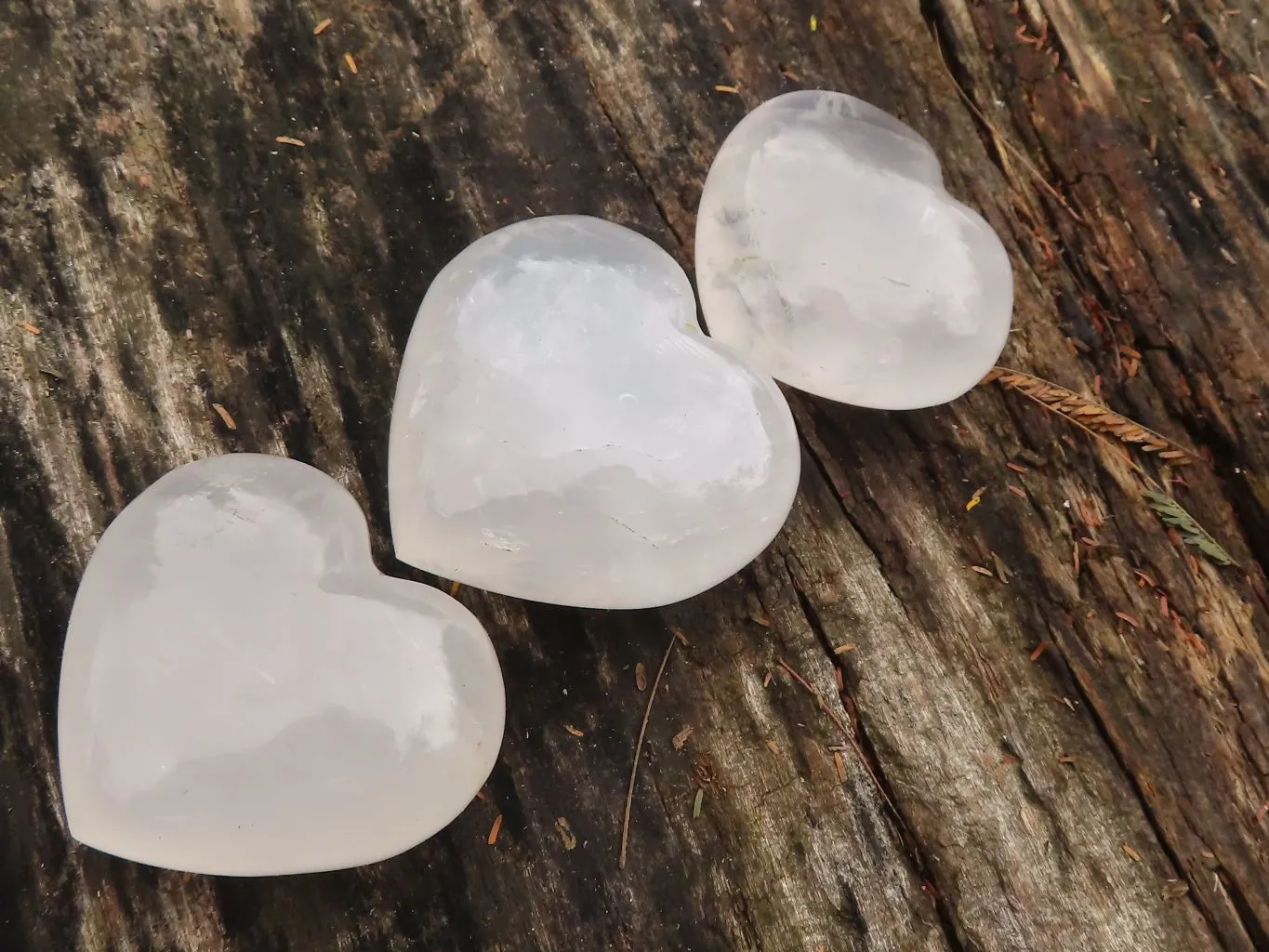 Polished Girasol Pearl Quartz Hearts x 6 From Madagascar