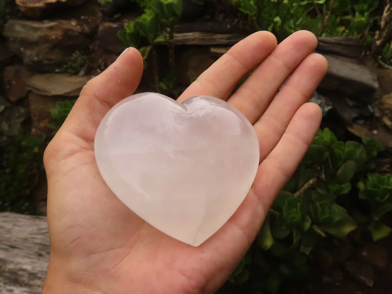 Polished Girasol Pearl Quartz Hearts x 6 From Madagascar