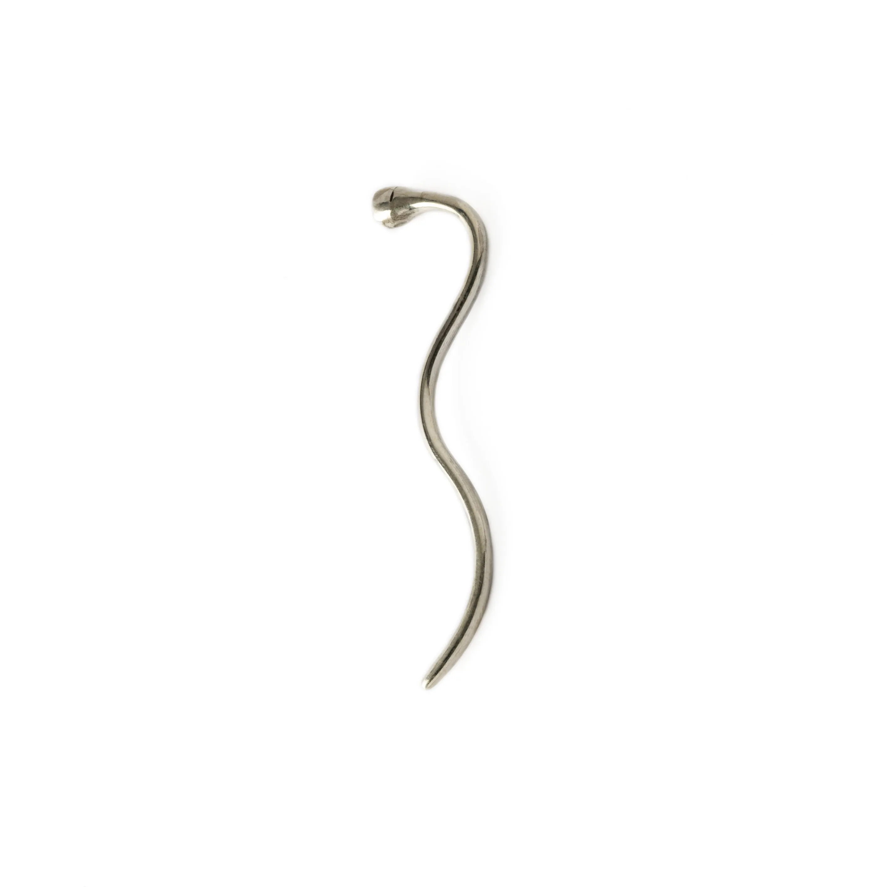Silver Long Tail Earrings with Lapis