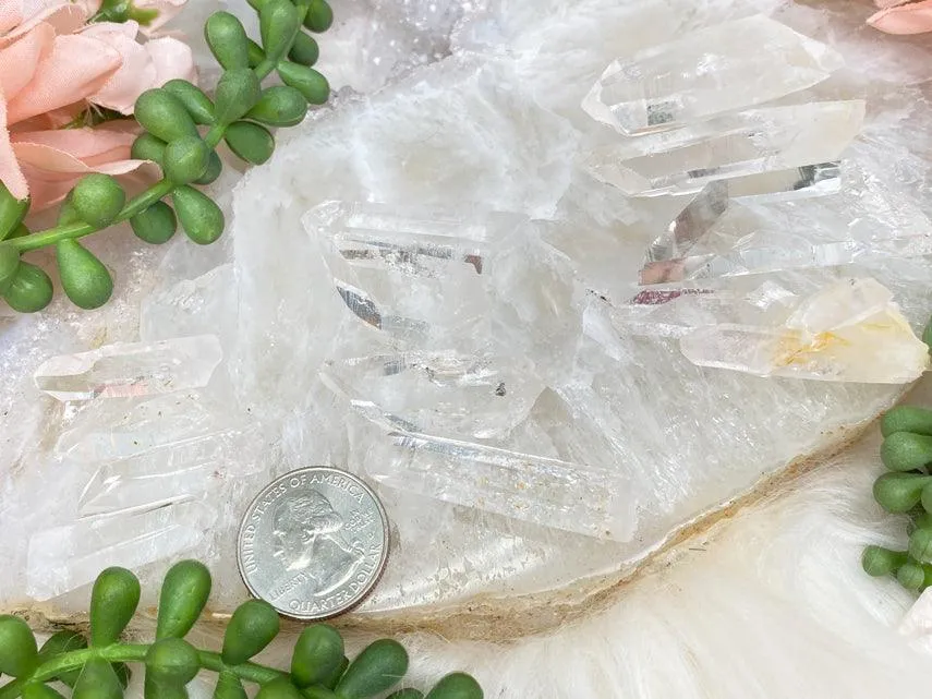 Small Lemurian Quartz Points
