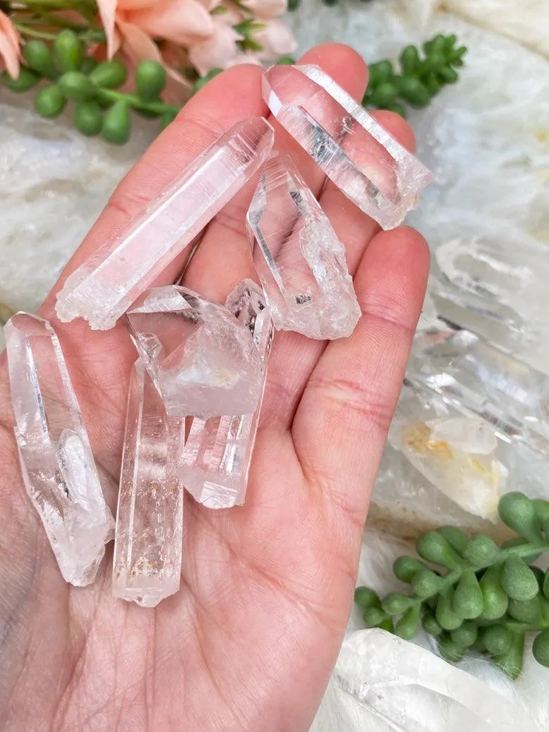 Small Lemurian Quartz Points