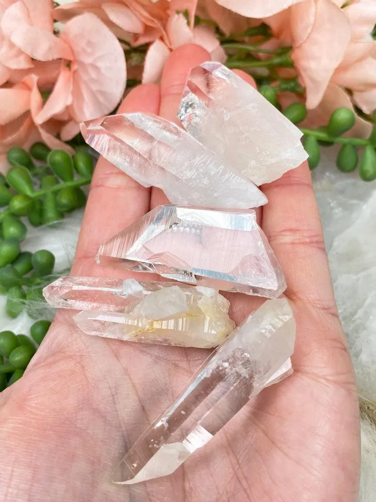 Small Lemurian Quartz Points