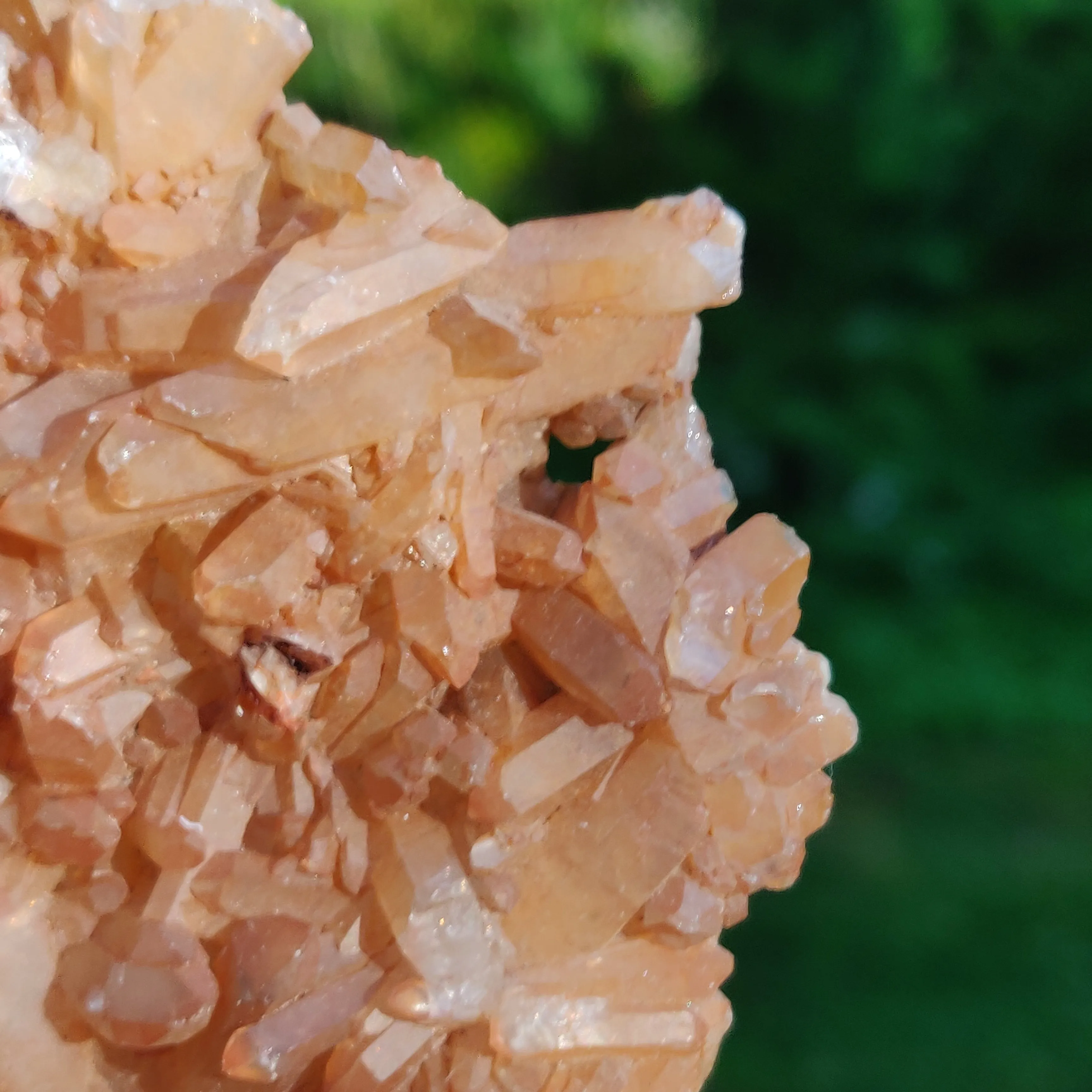Tangerine Quartz Cluster (#1)